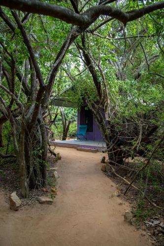 a path leading to a house with a green chair at Yala Podi Hoona Bush Camp in Yala