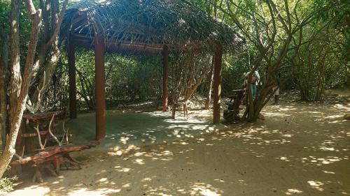 a man standing under a pavilion in a park with benches at Yala Podi Hoona Bush Camp in Yala