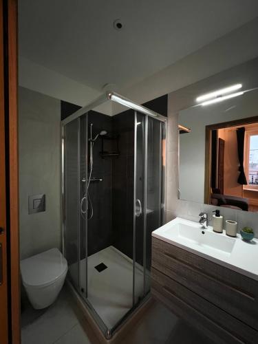 une salle de bain avec une douche, des toilettes et un lavabo dans l'établissement L'ÉCRIN DE VICHY - Hypercentre - Thermes & Parcs - Ancien Palace, à Vichy