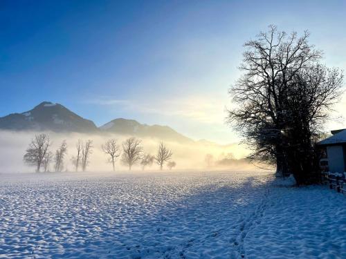 a snowy field with trees and a house in the background at SeelenbaumlerIn in Schliersee