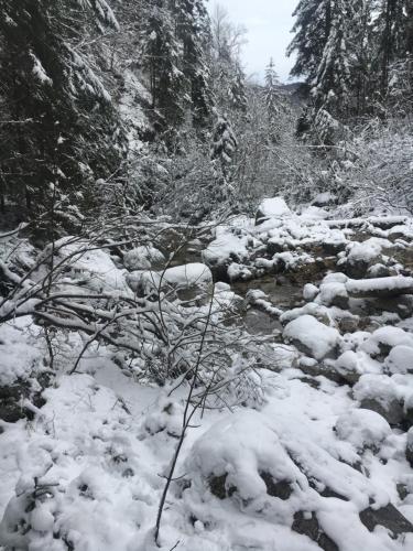 a stream with snow on the ground and trees at SeelenbaumlerIn in Schliersee