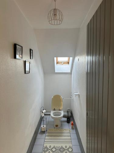 une salle de bain avec toilettes dans une petite pièce dans l'établissement Jardin de Victor Appartements calmes spacieux avec jardin clos, à Belfort