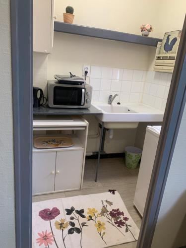 Η κουζίνα ή μικρή κουζίνα στο Studio cité gastronomique