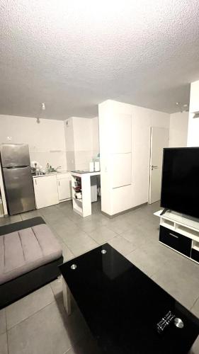 un salon avec un canapé et une télévision dans l'établissement Appartement T2 entier, Toulouse centre, à Toulouse