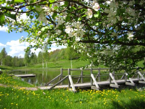 a bridge over a body of water with flowers at Jaunkrastmaļi in Kandava
