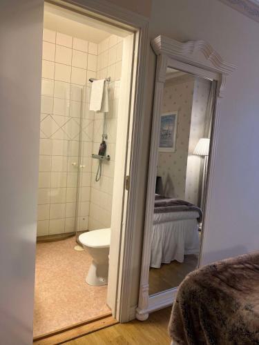 a bathroom with a toilet and a shower at Hotell Örnen in Torsby