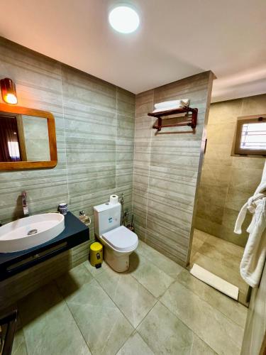 a bathroom with a toilet and a sink at Maurice Bonjean in Ifrane