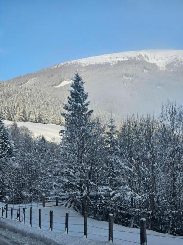 a snow covered hill with a fence and a tree at Landhotel Lacknerhof in Mariapfarr