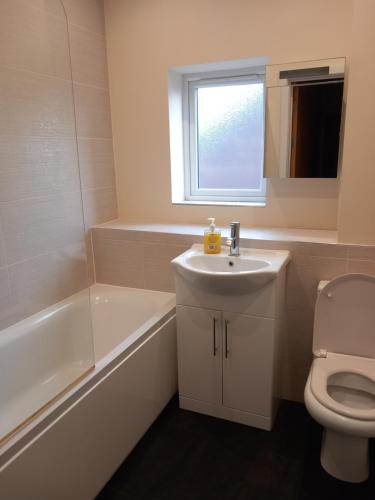 a bathroom with a sink and a toilet and a window at Cosy Spacious 2 bedroom Apartment Free Parking in Nottingham