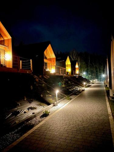 a street at night with buildings and lights at Muchatki domki z sauną in Zagórze