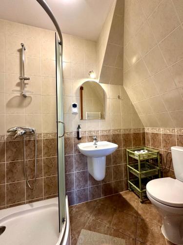 a bathroom with a sink and a toilet and a shower at Kwatery Prywatne-Willa "Nadzieja" in Świeradów-Zdrój