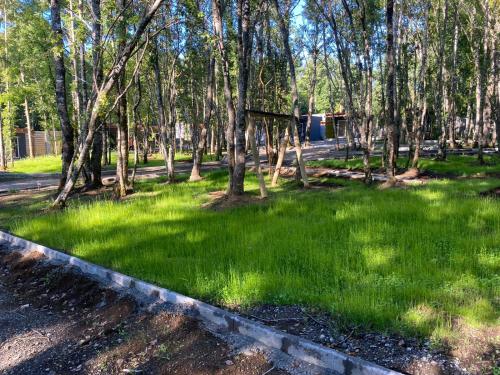 a park with green grass and trees on a road at Boker Tov Pucón in Pucón