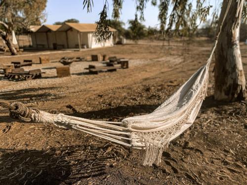 Gambar di galeri bagi Noor Glamping di El ‘Imāra