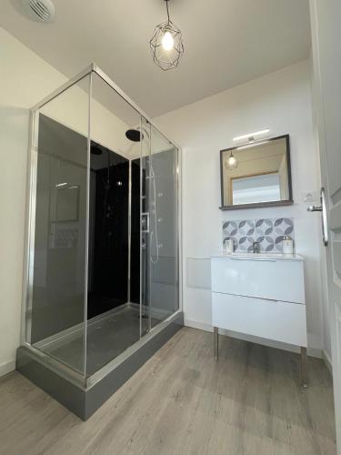une salle de bain avec une douche en verre et un lavabo dans l'établissement Appartement moderne, à Montrichard