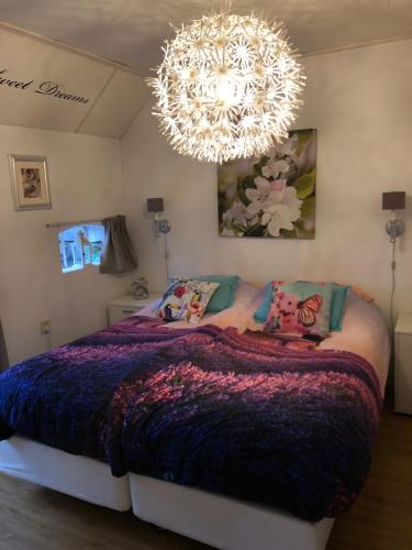 a bedroom with a large bed with a large chandelier at B&B Schoonloo - boerderij appartementen in Schoonloo