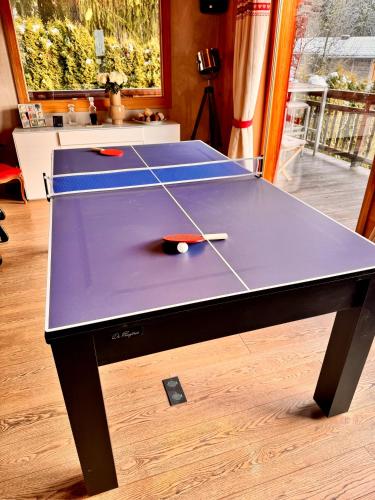 a ping pong table with a ping paddle on it at Edenblanc in Arâches-la-Frasse