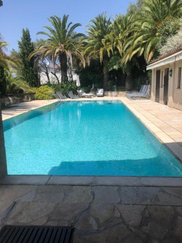 une piscine avec des palmiers en arrière-plan dans l'établissement Villa loucisa Nice piscine vue mer 8 chambres 24 couchages, à Nice