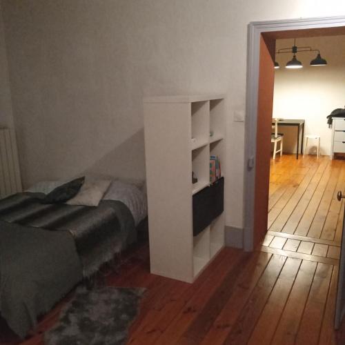 une chambre avec un lit et une étagère dans l'établissement Appartement Dijon centre ville, à Dijon
