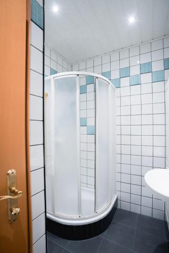a shower in a bathroom with blue and white tiles at Cervo d'oro Appartement in Semmering