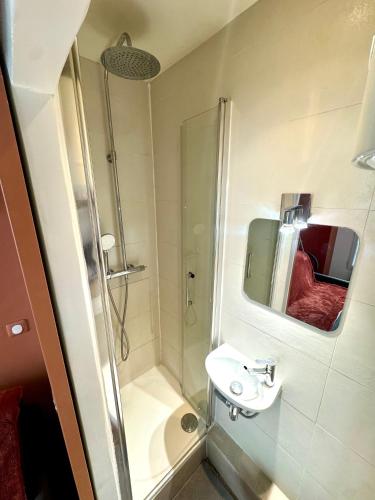 une salle de bain avec douche et lavabo dans l'établissement HSH - Studio lumineux en plein coeur de Paris, à Paris