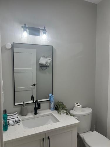a bathroom with a sink and a mirror and a toilet at Zee's Homestay in Crosby Island