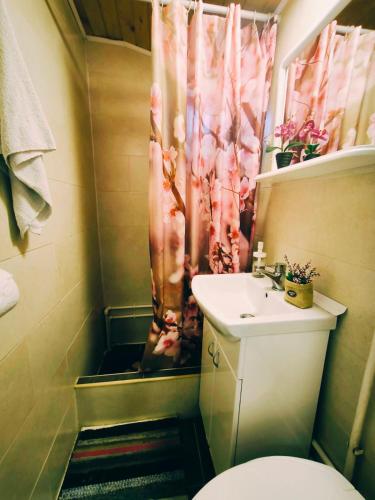 a bathroom with a sink and a shower curtain at Andrića Sokak 2 in Divčibare