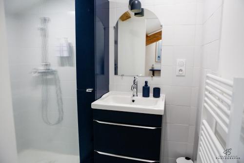 une salle de bain avec un lavabo et une douche dans l'établissement Le Jardin de Beau Pré - App 3-2 - Centre ville, à Perpignan