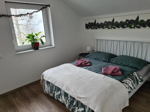 ein Schlafzimmer mit einem Bett und einem Fenster in der Unterkunft Maya-K apartment near city center in Ljubljana