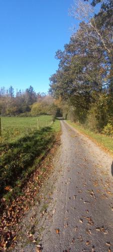 a dirt road next to a field with trees at Côté Cosy in Marche-en-Famenne