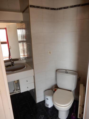 une petite salle de bain avec toilettes et lavabo dans l'établissement Voilà un joli studio toulousain !, à Toulouse