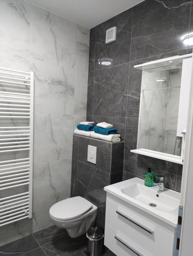 a bathroom with a white toilet and a sink at Stan na dan Brcko -The Gold Nook in Brčko