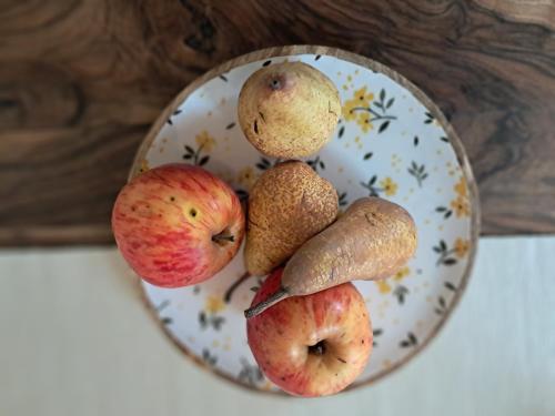 a plate with apples and other fruits and vegetables at Posestvo Brida - Brkini Hills by the Lakes in Ilirska Bistrica