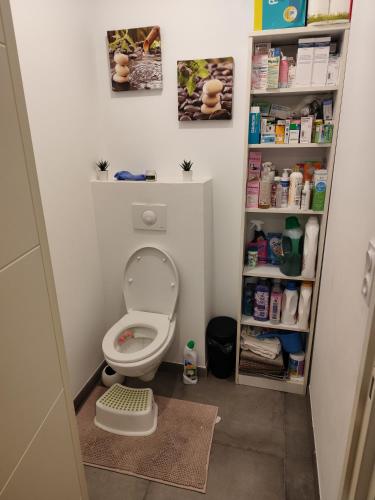 - une petite salle de bains avec des toilettes avec un couvercle dans l'établissement Chambre cosy à Villeurbanne, à Villeurbanne