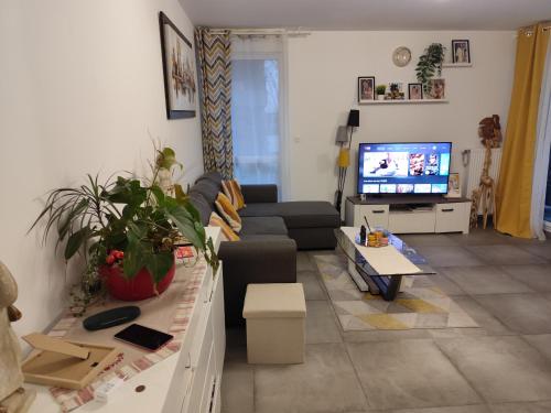un salon avec un canapé et une télévision dans l'établissement Chambre cosy à Villeurbanne, à Villeurbanne