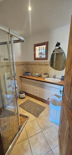 une salle de bain avec une douche, un lavabo et un comptoir dans l'établissement La Maisonnette Des Arcs, aux Arcs-sur-Argens