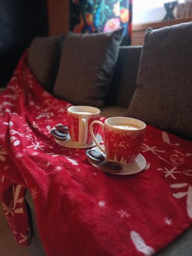 two coffee cups sitting on a blanket on a couch at Spiska Dolina in Łapsze Niżne