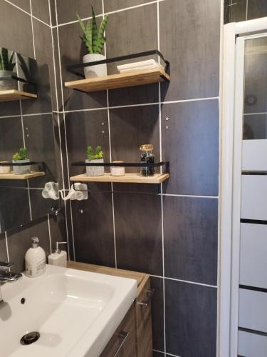 une salle de bain avec un lavabo et un miroir dans l'établissement Studio cosy proche aéroport d'Orly & paris, à Paray-Vieille-Poste