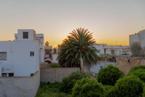 a view of a city with a palm tree and buildings at CASABLU Apparte - Terrasse avec vue Sunset in Nabeul