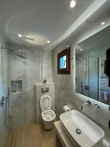 a bathroom with a toilet and a sink and a shower at Giataki in Elati Trikalon