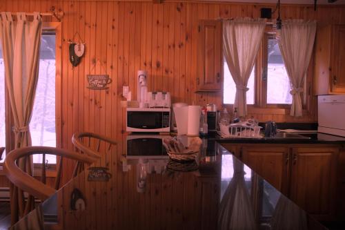 a kitchen with wooden walls and a counter with a microwave at Glazonki Cozy Chalet in Sainte-Agathe-des-Monts