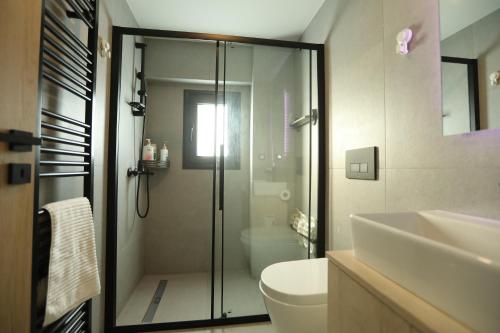 Un baño con ducha, inodoro y lavabo. en Blossom House-At the foot of the Acroplis and Parking available, en Atenas