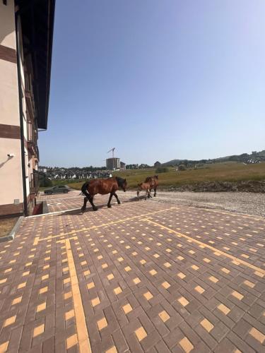 Fotografie z fotogalerie ubytování Vila Eden Lux v destinaci Zlatibor