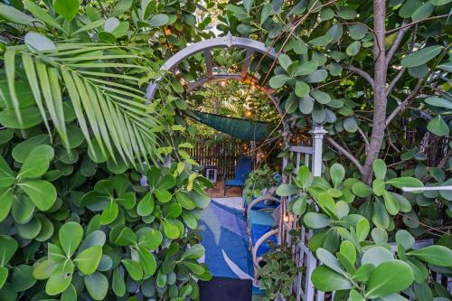 a garden with a gate and some plants at Blue Bell Apartment Hotel in Fort Lauderdale
