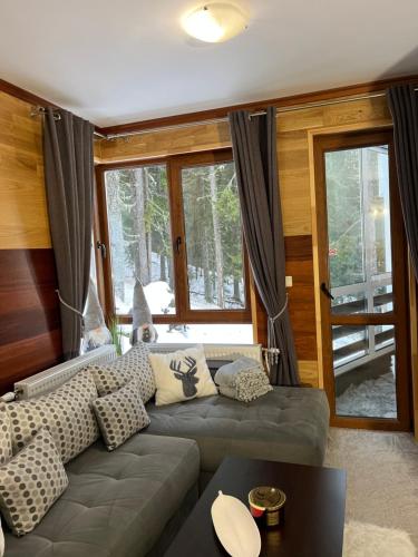 ein Wohnzimmer mit einer Couch und einigen Fenstern in der Unterkunft Elizi1winter apartments Pamporovo in Pamporowo