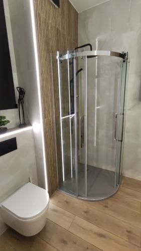 a bathroom with a shower and a toilet at One-room apartment Nyska Residence Free garage!!! in Wrocław