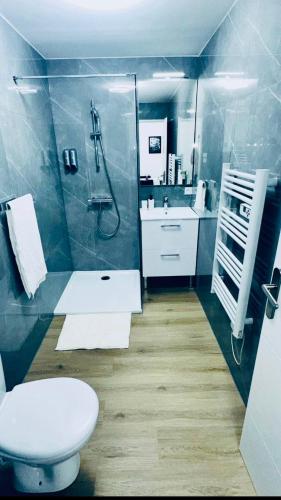 une salle de bain avec toilettes, douche et lavabo dans l'établissement Appartement t2 en plein cœur du centre ville, à Valence