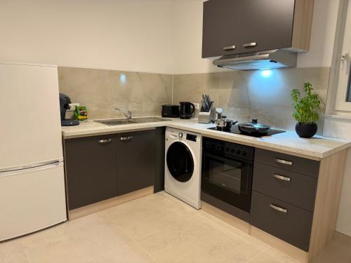 eine Küche mit Spüle und Geschirrspüler in der Unterkunft Apartment WH7 in Frechen