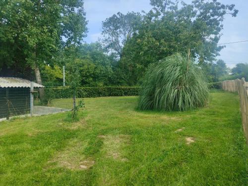 Taman di luar Gîte 6 personnes