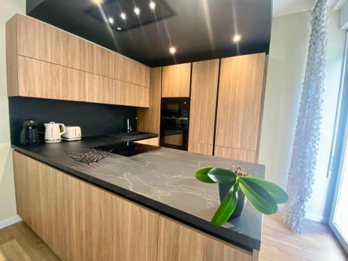 une cuisine avec des placards en bois et une plante verte dans l'établissement Splendide et convivial 8 personnes hyper centre, à Cauterets