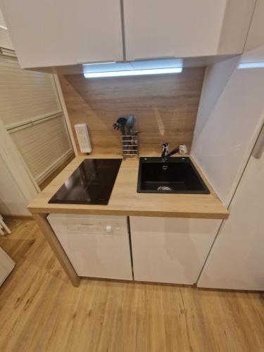 - une petite cuisine avec évier dans la chambre dans l'établissement Centre Station - La Vallée Blanche 2 - La Foux, à Allos